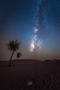 A Night in the Arabian Desert 