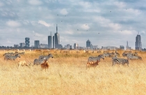 A park in Nairobi Kenya