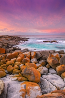 A pastel sunset over the Bay Of Fires in East Coast Tasmania x OC
