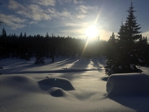 A peaceful morning out on cross country skis- Lillehammer Norway