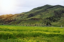 A peek into the beautiful Green mountain ranges in Oregon 