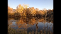 A Perfect Fall Day N Utah OC