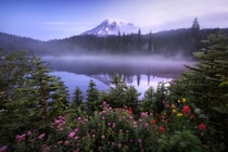 A perfectly serene morning in Mount Rainier National Park  IGJayKlassy