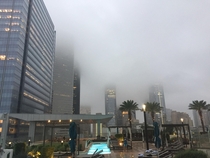 A pic of Houston I snapped from my hotel yesterday
