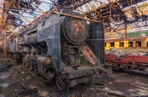 A picture of an abandoned train with a star of the Soviet Union on its nose is not something you see every day 