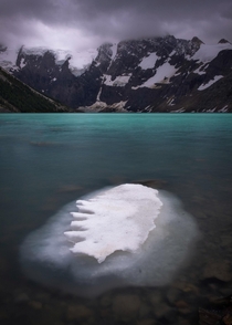 A piece of the hanging glacier floating in the lake they call the Lake of the Hanging Glacier BC Canada 