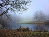 A pond next to the university of Trier fog 
