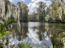 A pond on the grounds of Magnolia Plantation in South Carolina 