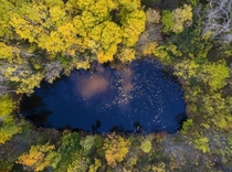 A pond surrounded by trees in Skaneateles New York  Photographed by Matt Champlin