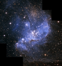 A population of infant stars embedded in the nebula NGC  