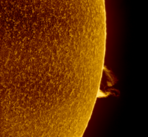A prominence on the Sun imaged in hydrogen-alpha  
