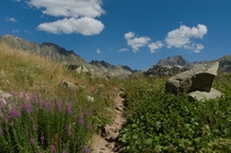 A Pyrenees path in the end of the summer la Vall dAran Spain 