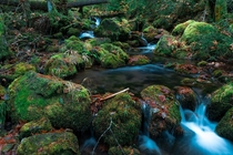 A quiet stream in OR 