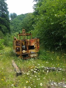 A rail tamper deep in the Oregon forest on the POTB line that hasnt been touched in  years