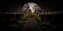 A railway becomes consumed by ferns in this tunnel in Australia 