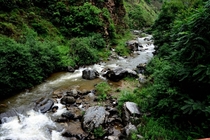 A rain water stream near Jalori Pass Himachal Pradesh India 