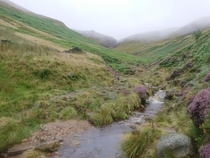 A Rainy Day on Kinder Scout Peak District National Park England United Kingdom 