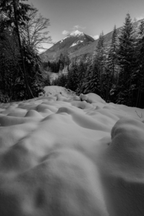 A river of snow Cascade Mountains Washington 
