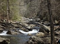 A river tumbles over striking rocks in the mountains of North Georgia near Ellijay Photograph by C McGinty-Carroll 