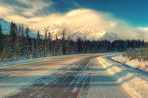A road near Peyto Lake in the Canadian Rockies Alberta Canada 