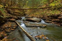 A rocky creek in Ithaca NYOC