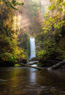 A scene straight out of a fairytale Wiesendanger Falls Columbia River Gorge Oregon 