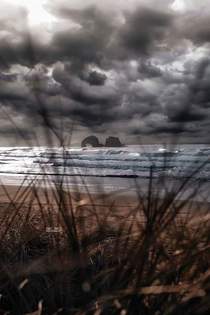 A sea monster in the storm on the Oregon coast x