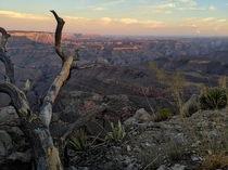 A seldom seen view of the Grand Canyon Twin Point Overlook Close to  miles round trip of dirt road to get this view 