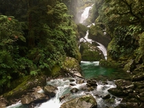 A series of small waterfalls enclosed by a lush jungle - Routeburn Track New Zealand 