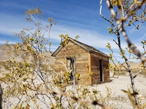 A Shed at the Rhyolite Ghost Town in Beatty Nevada