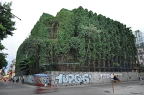 A shell of a building in Havana being consumed by ivy 