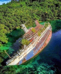 A ship being taken over by nature