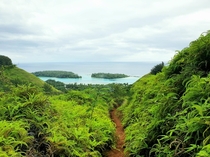 A short hike in Moorea French Polynesia OC x