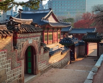 A shot of a palace in sunset Seoul South Korea 