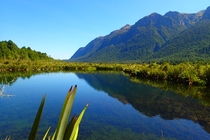 A slight breeze disturbed a near perfect reflection - Mirror Lakes Fjordland New Zealand 