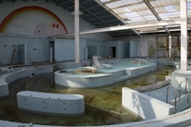 A slimy abandoned pool somewhere in Japan