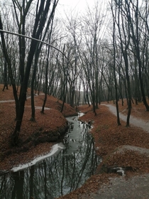 A small stream - Holosiivskyi forest Kyiv Ukraine x 