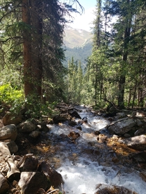 A small stream in the Arapaho National Forest Colorado 