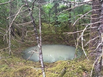 A small till pool left behind from a glacier - Juneau Alaska 
