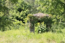 A small unknown abandoned building in the middle of a forest in Southern Illinois 