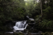 A small waterfall near Ucluelet BC 