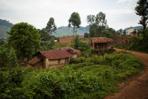 A small Western Ugandan village near Bwindi Impenetrable Forest 