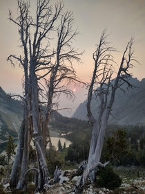 A smoky morning in Grand Teton National Park 