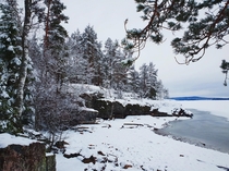 A snowy day in Vrmland Sweden 