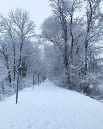 A snowy New England path