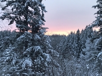 A Snowy Sunset - Maple Valley WA 