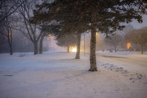 A snowy winter night Southern Ontario Canada