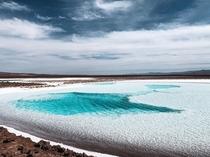 A sparkling pool of turquoise water found in the middle of a salt flat deep in the deserts of northern Chile Surreal 