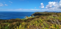 A spectacular view at Cape Reinga New Zealand