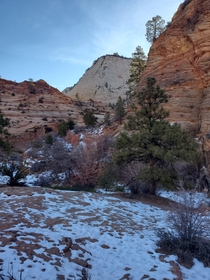A spot the sun doesnt touch Zion National Park Utah 